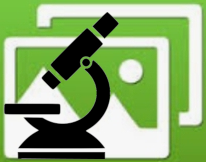  Microscope photo gallery 